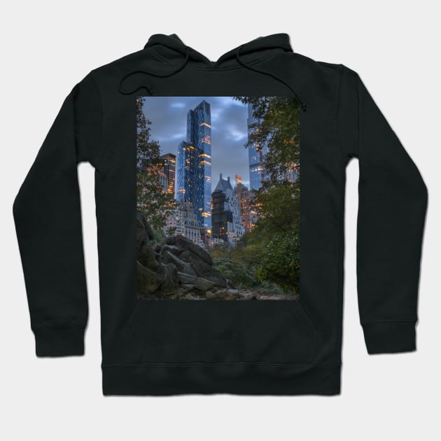 Central Park Fall 2024 2 Hoodie by igjustin